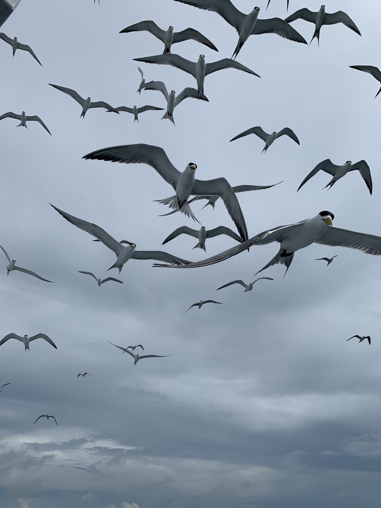 澎湖旅遊-一日漁夫體驗